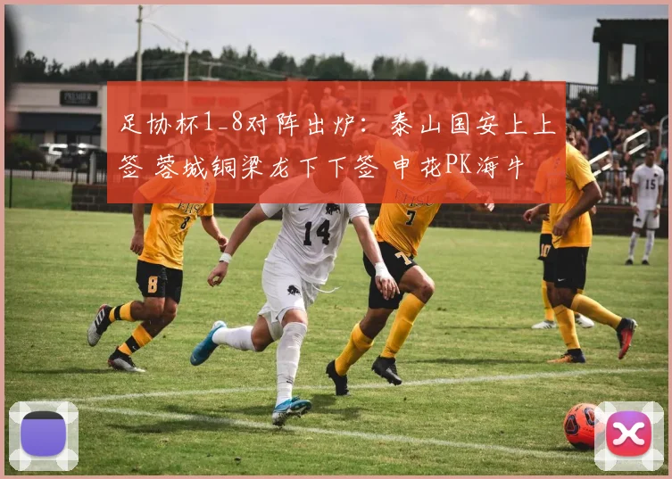 足协杯1_8对阵出炉：泰山国安上上签 蓉城铜梁龙下下签 申花PK海牛