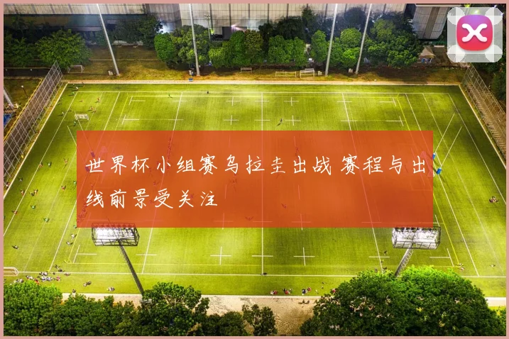 世界杯小组赛乌拉圭出战 赛程与出线前景受关注